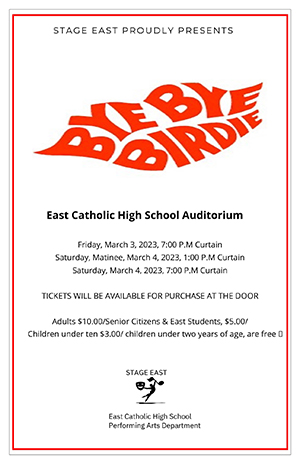 Bye Bye Birdie poster