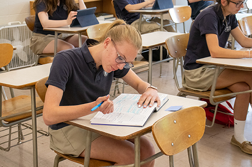 Students studying