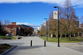 College Campus